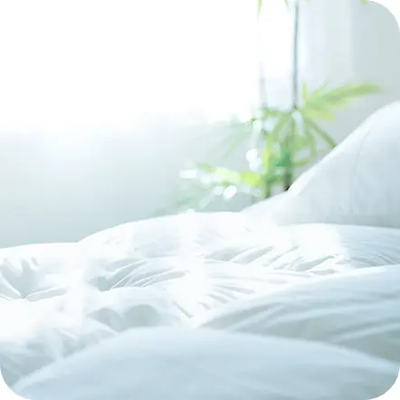 写真：ふっくらとしたふとん