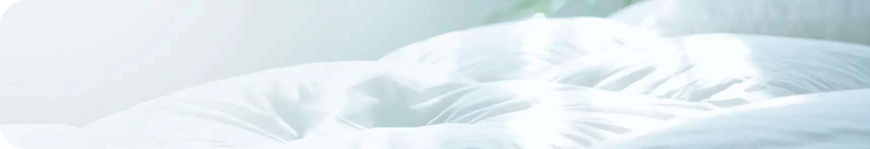 写真：ふっくらとしたふとん