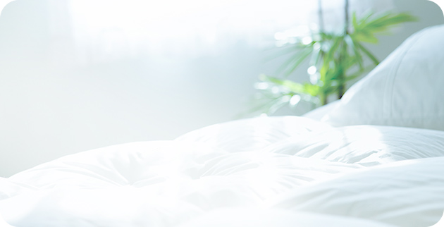 写真：ふとんクリーニング