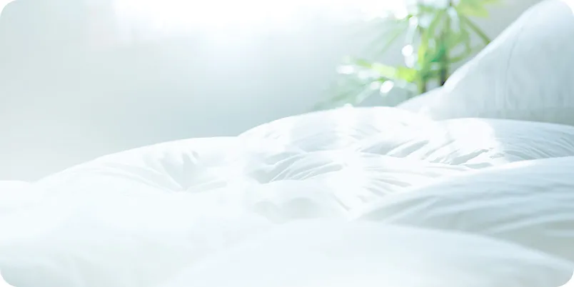 写真：ふとんクリーニング